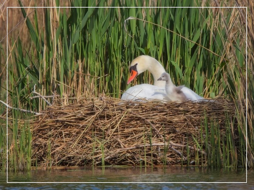 Hallo Welt (Foto: Norbert Schmidt)