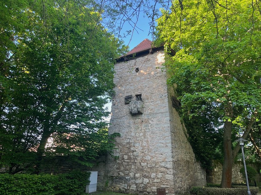 Fr&uuml;hlingssonne im Kurpark (Foto: oas)