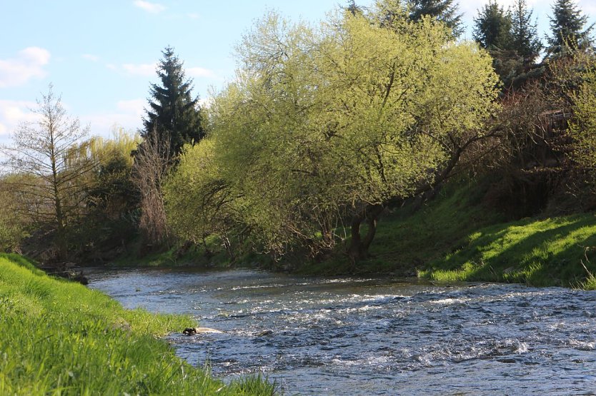 Wetterbild (Foto: agl)
