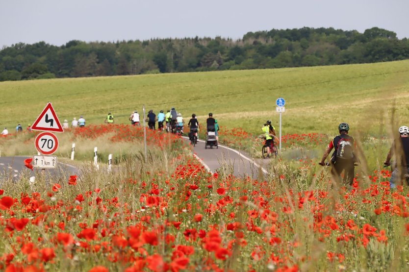 Das Nordh&auml;user Stadtradeln f&uuml;hrt demn&auml;chst nach Stempeda (Foto: Stadt Nordhausen)