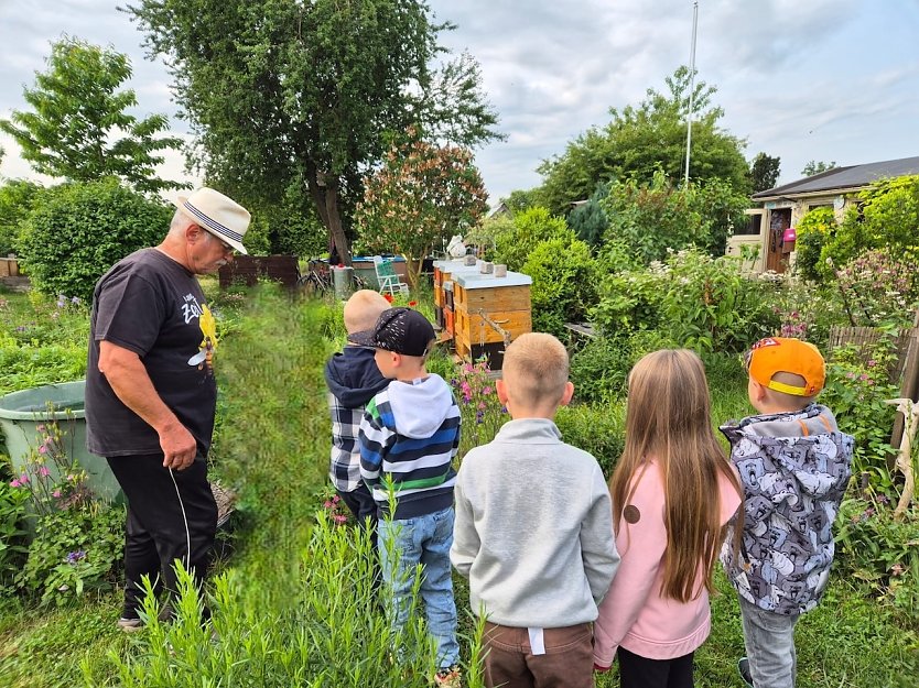 Kleine Sp&uuml;rnasen bei den flei&szlig;igen Bienen (Foto: KITA Kleine Sp&uuml;rnasen)