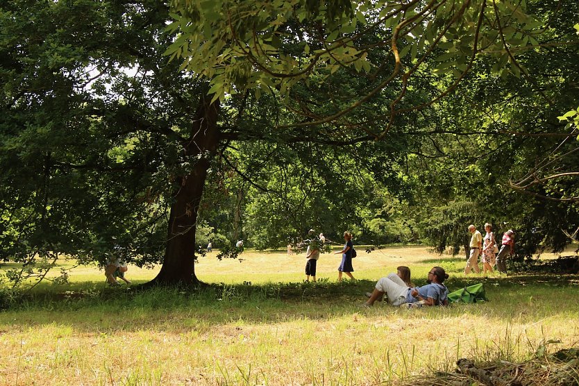 Sommer, Sonne und Entspannung beim Picknick im Gr&uuml;nen im Park Hohenrode (Foto: agl)
