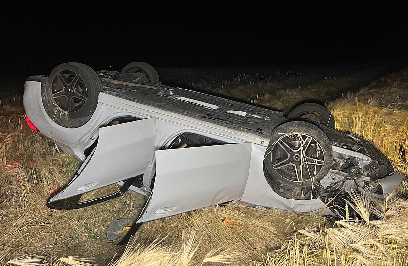 Benz im Kornfeld (Foto: S.Dietzel)