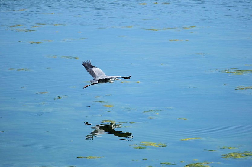 Unser Wetterbild kommt heute von Peter Blei der am Stausee Kelbra unterwegs war (Foto: Peter Blei)