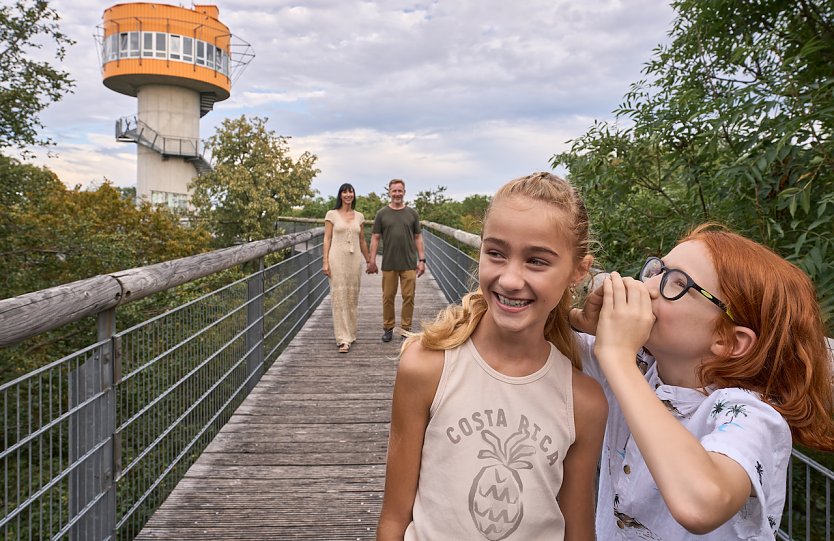 aumkronenpfad (Foto: copyright tino sieland)