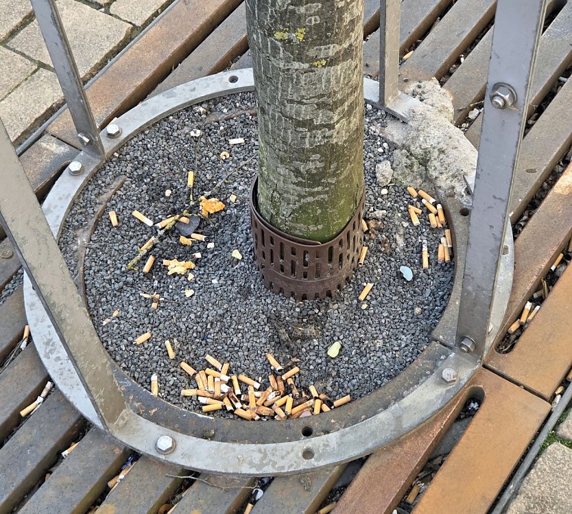 Aschenbecher oder Baumscheibe? (Foto: privat)