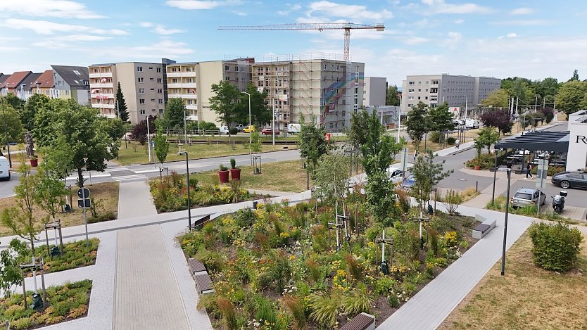 Stadtlloop abgeschlossen (Foto: Stadtverwaltung Nordhausen)