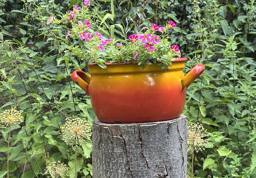 Weiter durchwachsenes Sommerwetter (Foto: oas)