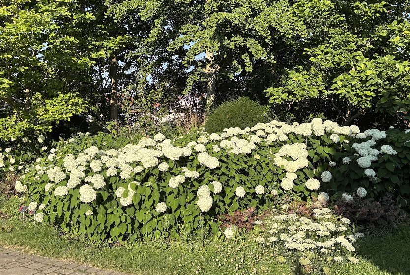 Heute regnerisch und st&uuml;rmisch (Foto: oas)