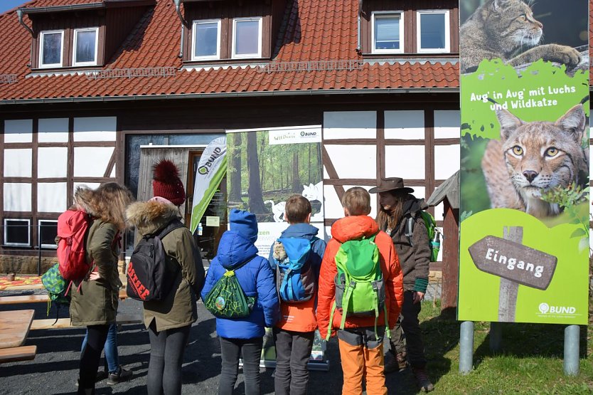Kindergruppe beim Bildungsangebot (Foto: Wildtierland Hainich)