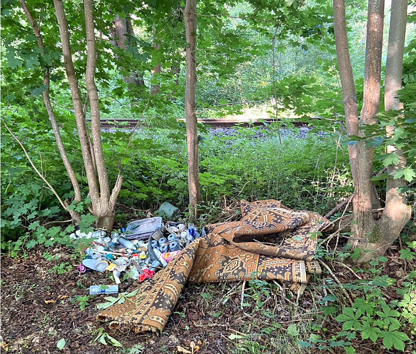 Verm&uuml;llung im Nordh&auml;user Stadtgebiet (Foto: Familie Glier)