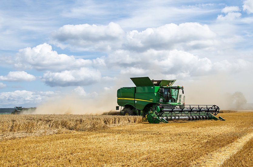 Ernte M&auml;hdrescher (Foto: Jana Gro&szlig;)