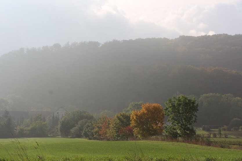 Wetterbild (Foto: agl)