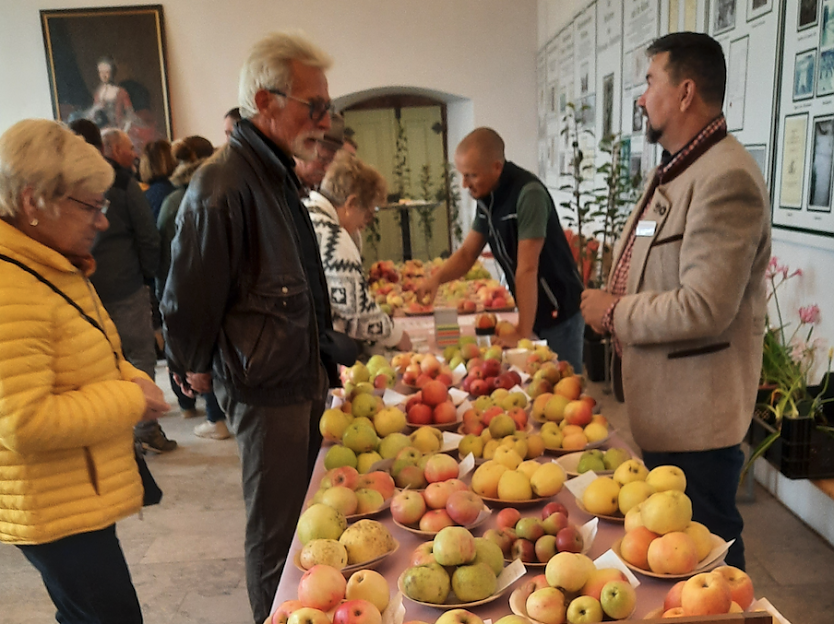 Obstsortentag in der Orangiere (Foto: Karsten Stiehler)
