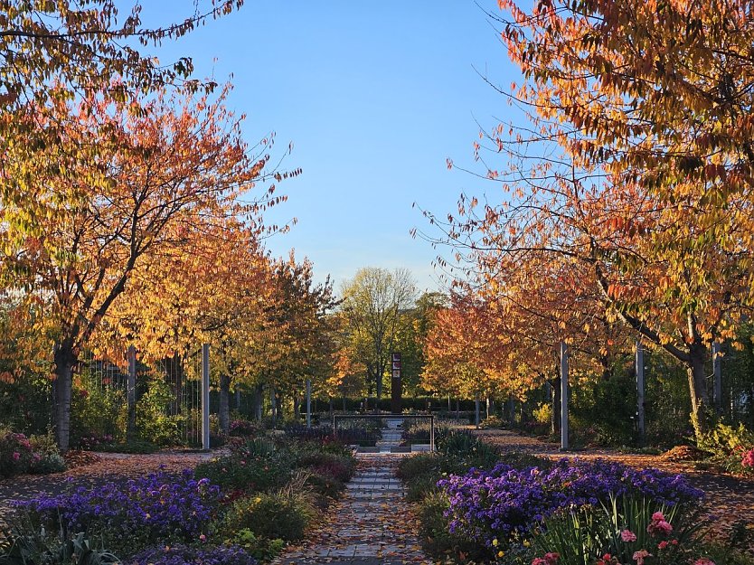 Bild: So bunt wie der Herbst 