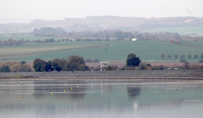 Bild: Gefl&uuml;gelpest am Stausee Kelbra festgestellt 
