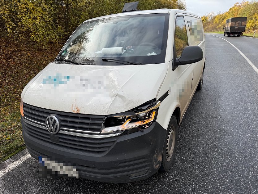 Wildunfall heuet Vormittag (Foto: S.Dietzel)