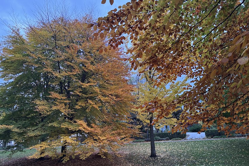 Es bleibt regnerisch (Foto: oas)