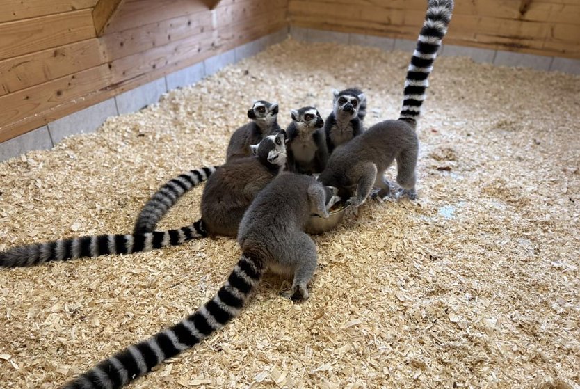 Das letzte Fr&uuml;hst&uuml;ck (Foto: S. Dietzel)