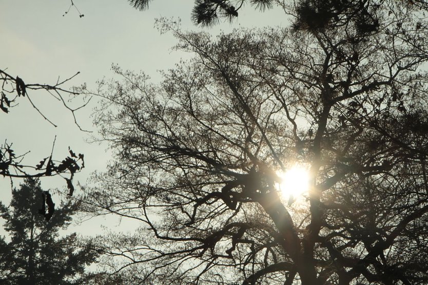 Wetterbild (Foto: agl)