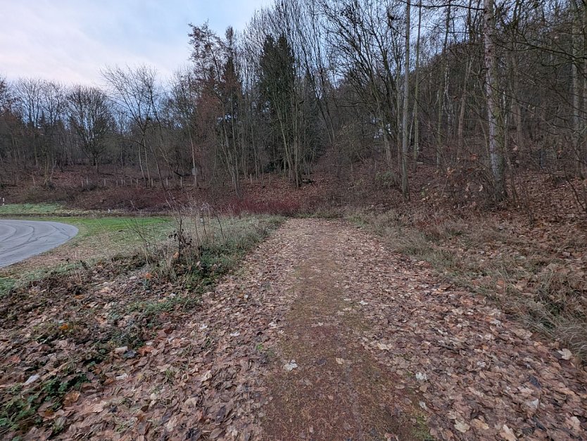      Die alte Weitsprunggrube l&auml;sst nur erahnen, dass hier einmal Weitsprung m&ouml;glich war.     (Foto: Janine Skara)