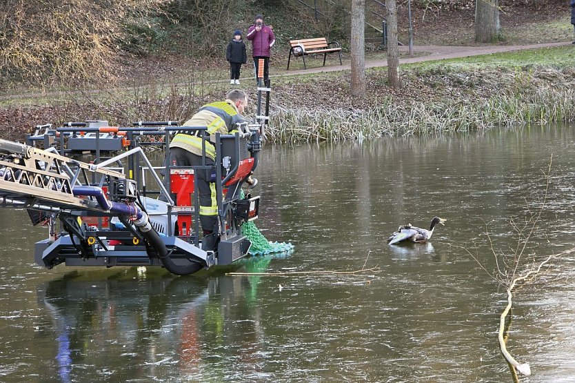 Tierischer Hilfseinsatz im Kurpark (Foto: Feuerwehr Heiligenstadt)