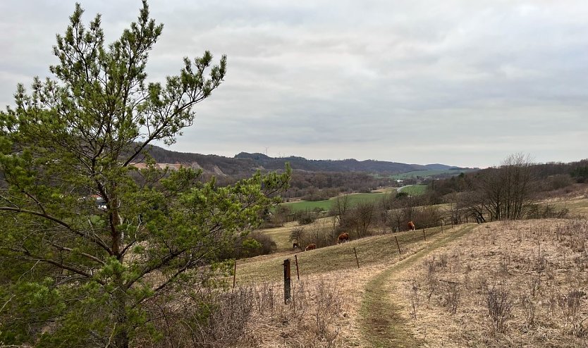 Symbolbild st&uuml;rmisches Wetter (Foto: ssc)