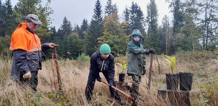 Flei&szlig;ige Helfer beim Wiederbewalden des S&uuml;dharzes. (Foto: Gerd Thomsen)