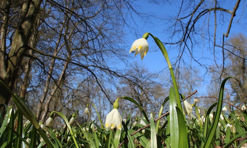 Wetterbild (Foto: agl) Wetterbild (Foto: agl)