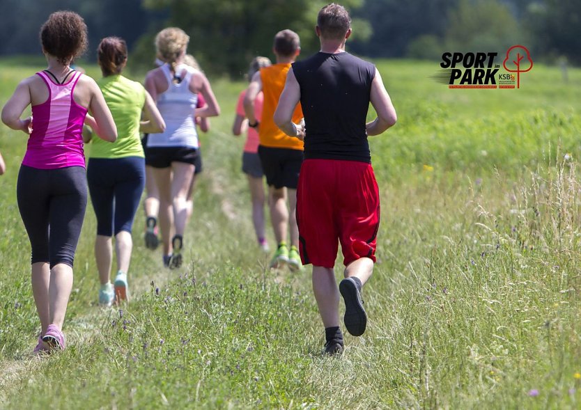 Auch Lauffreunde kommen bei Sport im Park auf ihre Kosten. (Foto: KSB)