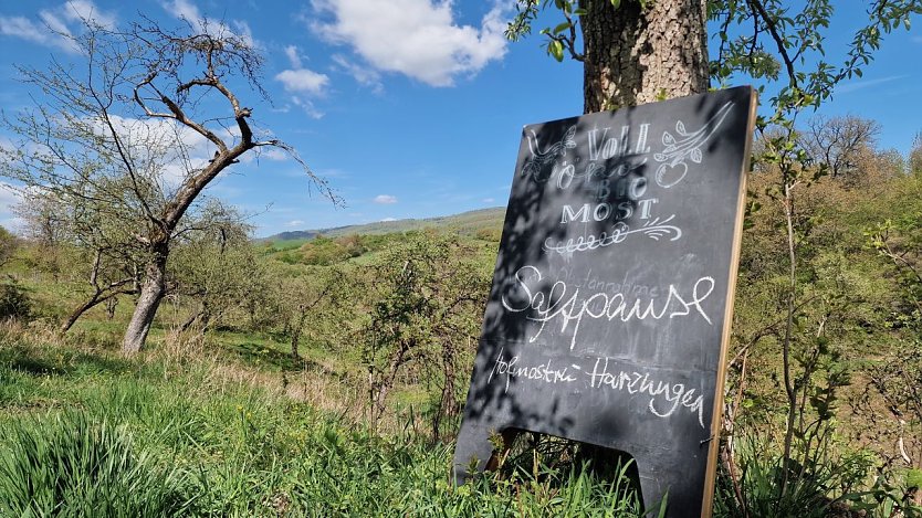Idylle pur inmitten der Kulturlandschaft - zum "Tag der Streuobstwiese" wurde zur Wiese am Rosenteich bei Neustadt geladen (Foto: agl)