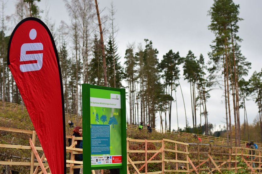Die Wiederbewaldung mit klimastabilen Mischw&auml;ldern erfolgt dankenswerterweise mit gro&szlig;er Unterst&uuml;tzung der Bev&ouml;lkerung wie auch Wirtschaftsunternehmen (Foto: Th&uuml;ringenForst/Jan B&ouml;hm)