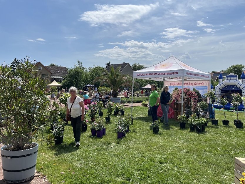 Wie im vergangenen Jahr ist auch das Europa-Rosarium wieder mit in Bendeleben vertreten. (Foto: Gemeinde Kyffh&auml;userland)