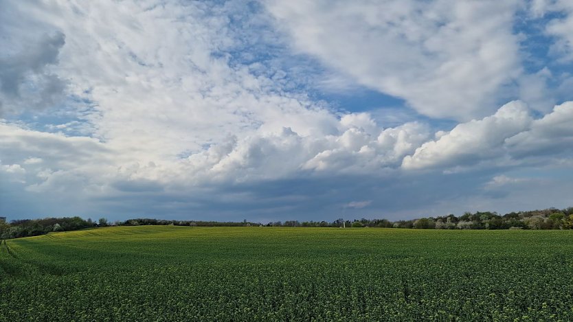 Wetterbild (Foto: agl)