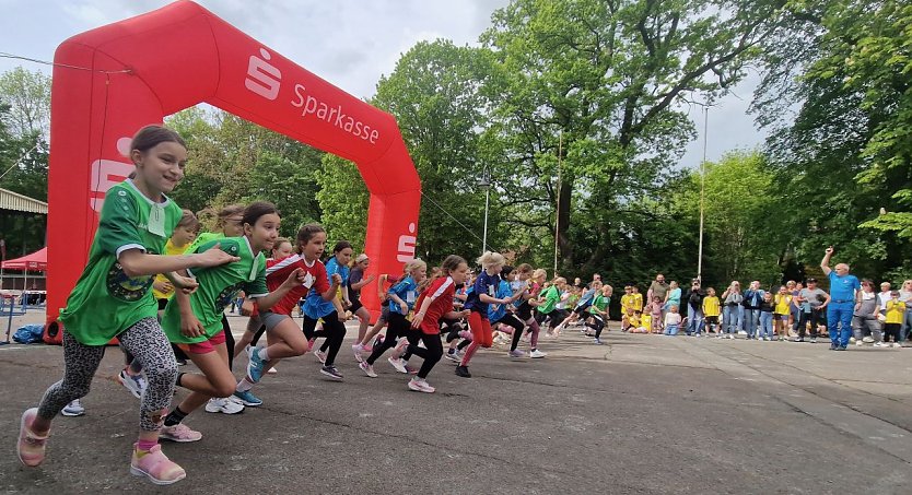 Im Gehege fand heute wieder der Kreiscrosslauf statt (Foto: agl)