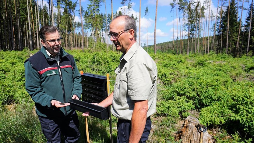 Mit solchen Borkenk&auml;ferfallen kontrollieren Forstexperten, hier Mathias St&uuml;rtz (re.) und Dr. Horst Spro&szlig;mann, den Schwarmflug des K&auml;fers. Ort, Zeitpunkt, Richtung und Intensit&auml;t k&ouml;nnen so festgestellt werden (Foto: Th&uuml;ringenForst)