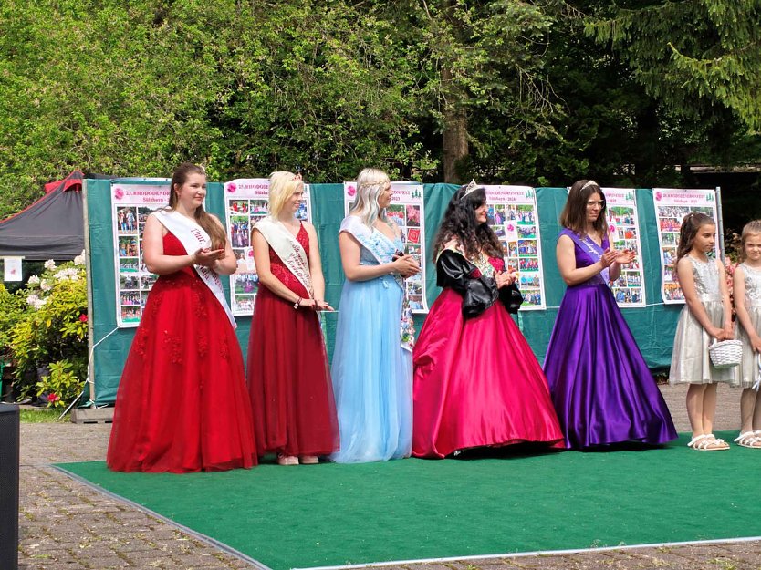 Die h&uuml;bschen Sch&ouml;nheiten beim Rhododendren-Fest in S&uuml;lzhayn. (Foto: Peter Blei)