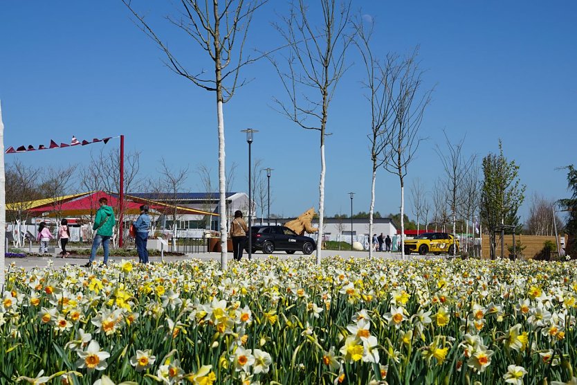 Die Landesgartenschau in Leinefelde-Worbis lockt mit einem besonderen Angebot zum M&auml;nnertag. (Foto: ssc)