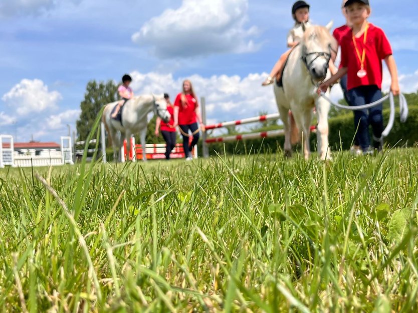 Kleine Pferdefreunde kommen in Großwechsungen auf ihre Kosten. (Foto: Manuela Schneevoigt) Kleine Pferdefreunde kommen in Großwechsungen auf ihre Kosten. (Foto: Manuela Schneevoigt)