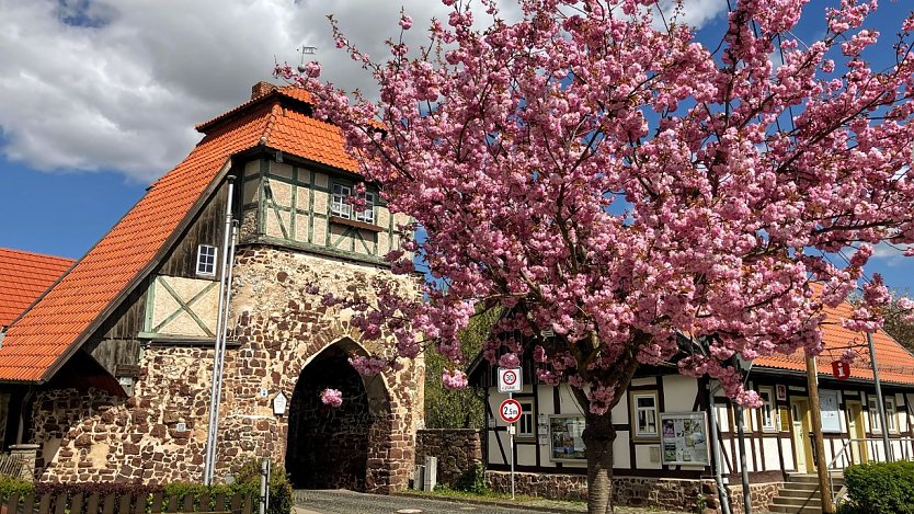 In Neustadt feiert man am 6. Juni den Naturschutztag. (Foto: ssc) In Neustadt feiert man am 6. Juni den Naturschutztag. (Foto: ssc)