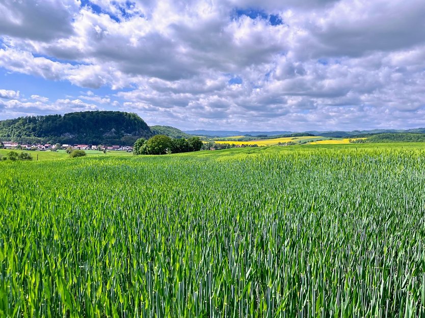 Symbolbild Wetter (Foto: ssc) Symbolbild Wetter (Foto: ssc)