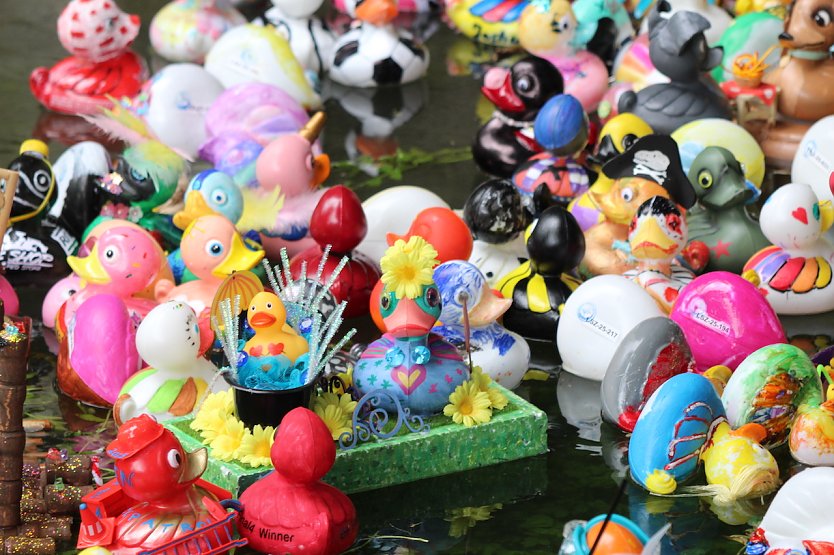 Viele sch&ouml;ne bunte Kunstwerke beim Entenrennen 2025 in Bad Langensalza (Foto: Eva Maria Wiegand)