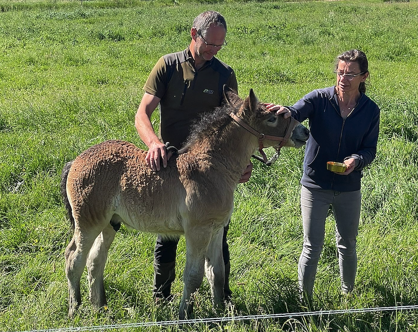 Taufe f&uuml;r "Heinz" (Foto: Beanke Agert)