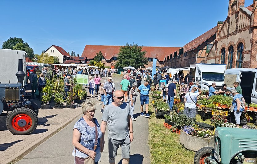 2. Bauernmarkt auf dem Scheunenhof in Sundhausen (Foto: nnz)