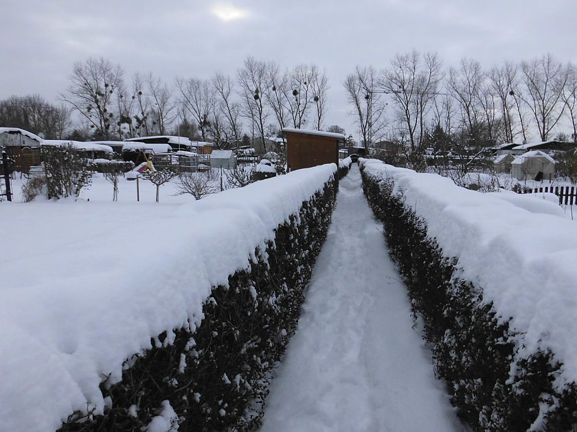 Bild: Der Garten im Winter