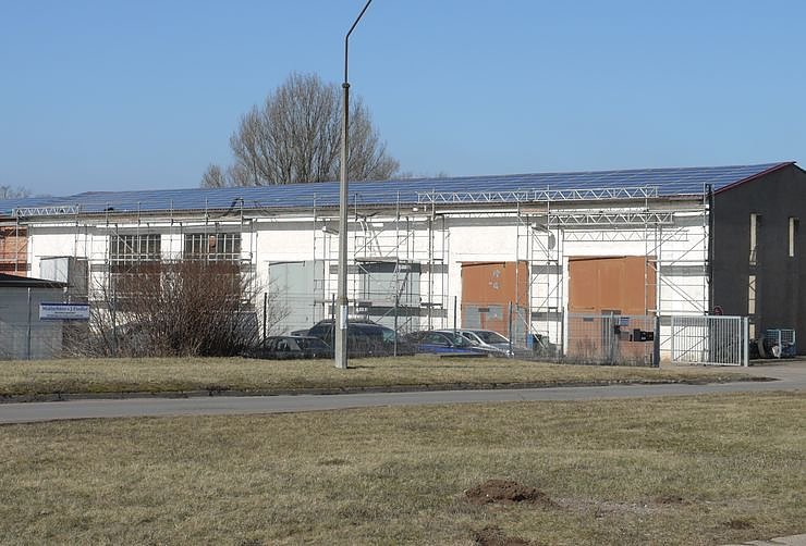 Bild: Sonne anzapfen 