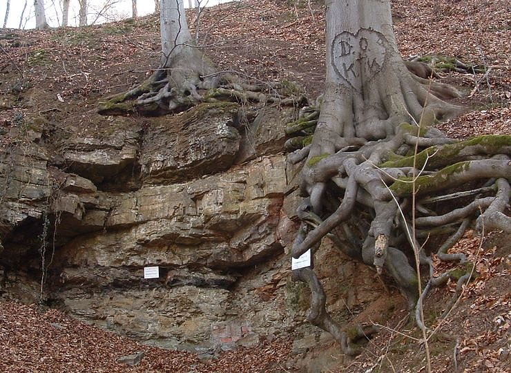 Bild: Mehr als nur Bergbau - die Lange Wand