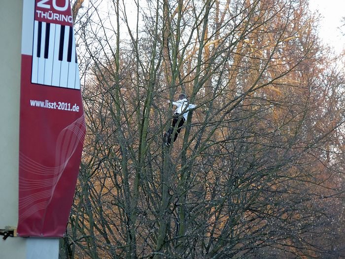 Bild: Jugend musiziert