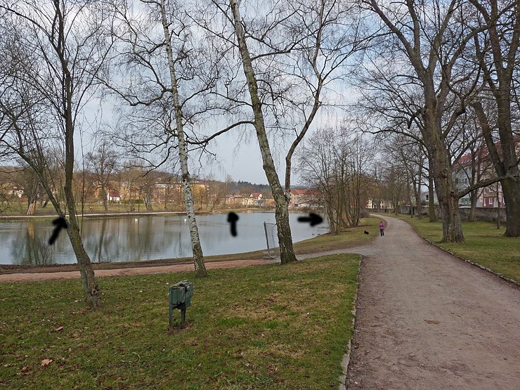 Bild: B&auml;nke im Schlosspark