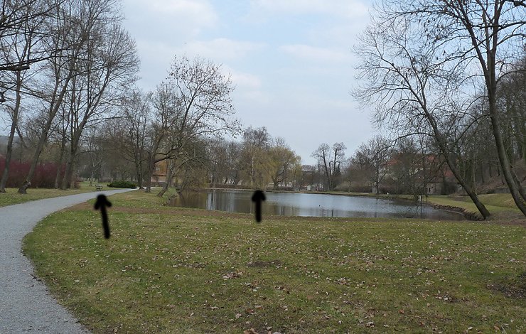 Bild: B&auml;nke im Schlosspark